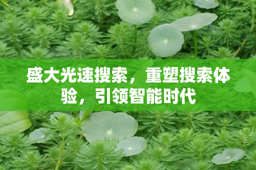 盛大光速搜索，重塑搜索体验，引领智能时代