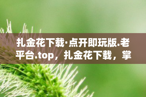 扎金花下载·点开即玩版.老平台.top，扎金花下载，掌握技巧，提升胜算