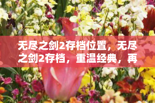 无尽之剑2存档位置，无尽之剑2存档，重温经典，再战江湖