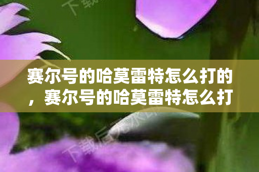 赛尔号的哈莫雷特怎么打的，赛尔号的哈莫雷特怎么打