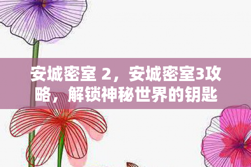 安城密室 2，安城密室3攻略，解锁神秘世界的钥匙