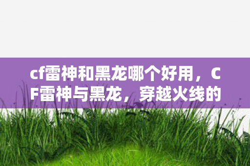 cf雷神和黑龙哪个好用，CF雷神与黑龙，穿越火线的双雄对决