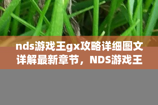 nds游戏王gx攻略详细图文详解最新章节，NDS游戏王GX攻略，掌握卡牌策略，成为决斗王