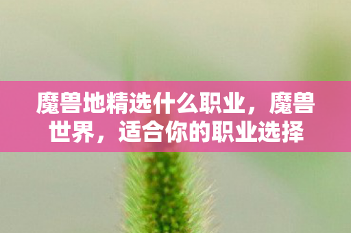 魔兽地精选什么职业，魔兽世界，适合你的职业选择