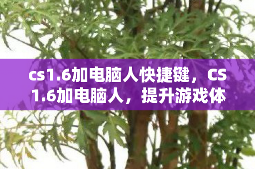 cs1.6加电脑人快捷键，CS1.6加电脑人，提升游戏体验的绝佳选择