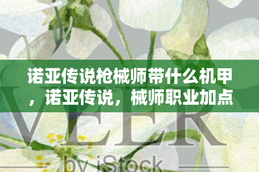 诺亚传说枪械师带什么机甲，诺亚传说，械师职业加点策略详解