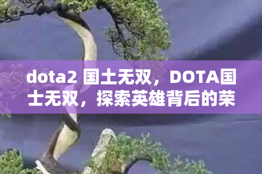 dota2 国土无双，DOTA国士无双，探索英雄背后的荣耀与坚持