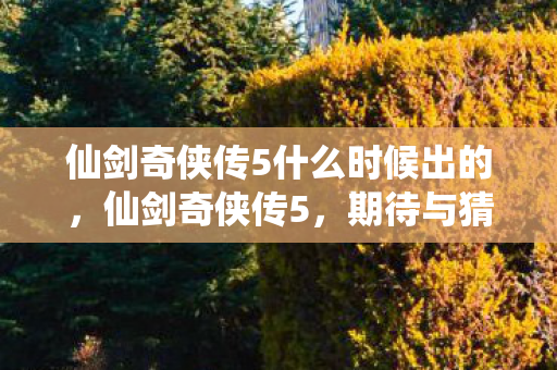 仙剑奇侠传5什么时候出的，仙剑奇侠传5，期待与猜测的交织