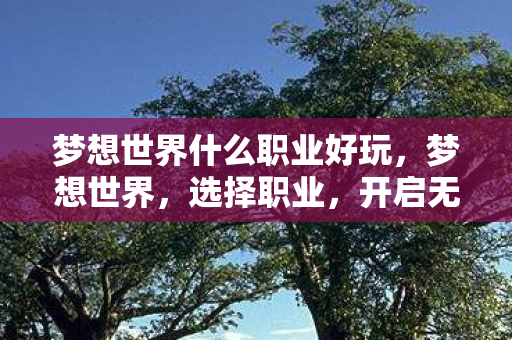 梦想世界什么职业好玩，梦想世界，选择职业，开启无限可能