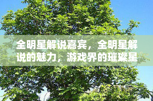 全明星解说嘉宾，全明星解说的魅力，游戏界的璀璨星光
