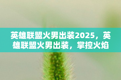 英雄联盟火男出装2025，英雄联盟火男出装，掌控火焰，主宰战场的策略指南