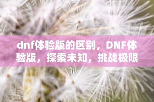 dnf体验版的区别，DNF体验版，探索未知，挑战极限