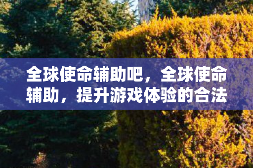 全球使命辅助吧，全球使命辅助，提升游戏体验的合法途径
