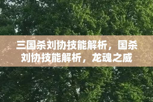三国杀刘协技能解析，国杀刘协技能解析，龙魂之威