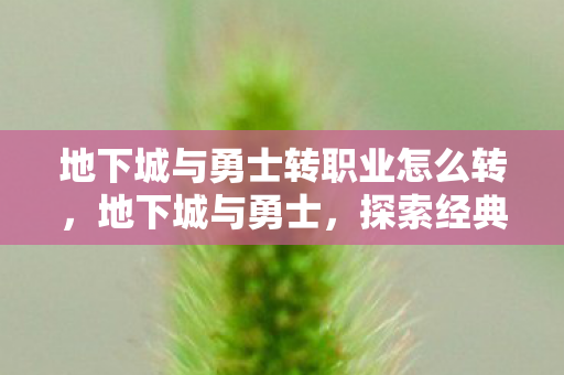 地下城与勇士转职业怎么转，地下城与勇士，探索经典游戏的魅力与未来