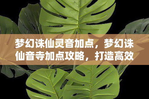 梦幻诛仙灵音加点，梦幻诛仙音寺加点攻略，打造高效战斗角色