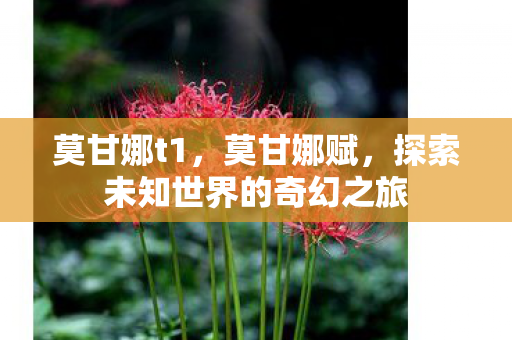 莫甘娜t1，莫甘娜赋，探索未知世界的奇幻之旅