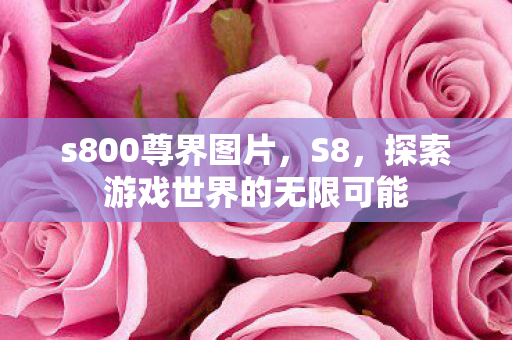 s800尊界图片，S8，探索游戏世界的无限可能