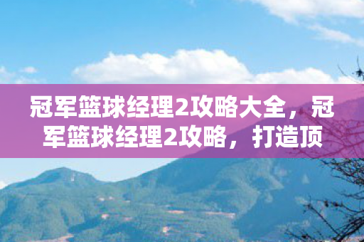 冠军篮球经理2攻略大全，冠军篮球经理2攻略，打造顶级球队的策略与技巧