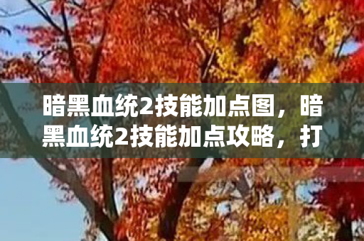暗黑血统2技能加点图，暗黑血统2技能加点攻略，打造最强战士