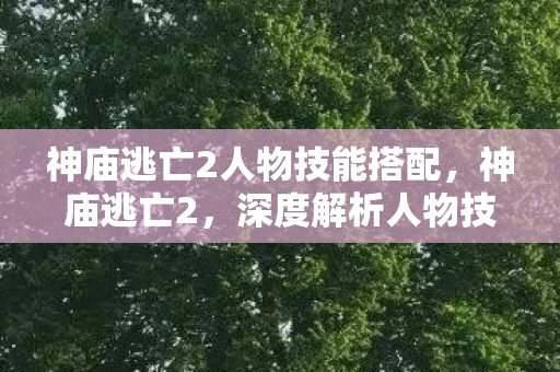 神庙逃亡2人物技能搭配，神庙逃亡2，深度解析人物技能策略