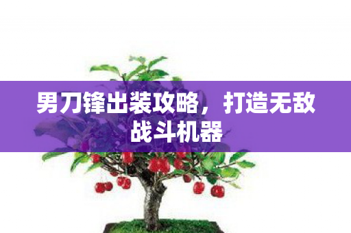 男刀锋出装攻略，打造无敌战斗机器