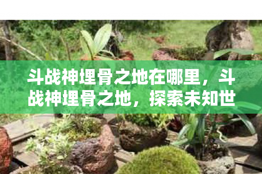 斗战神埋骨之地在哪里，斗战神埋骨之地，探索未知世界的神秘之旅
