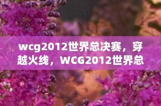 wcg2012世界总决赛，穿越火线，WCG2012世界总决赛的荣耀与激情