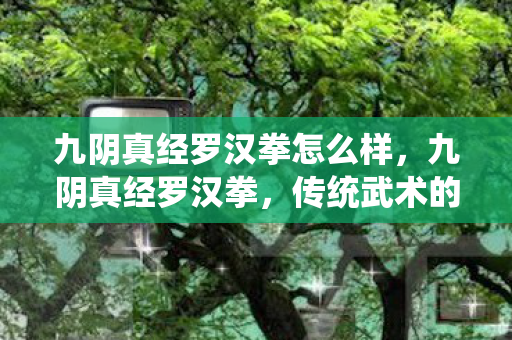 九阴真经罗汉拳怎么样，九阴真经罗汉拳，传统武术的瑰宝与现代文化的交融