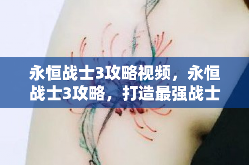 永恒战士3攻略视频，永恒战士3攻略，打造最强战士的实战指南