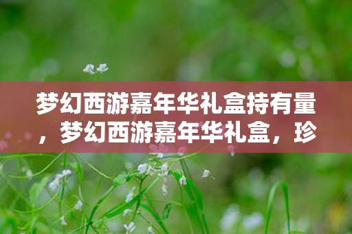 梦幻西游嘉年华礼盒持有量，梦幻西游嘉年华礼盒，珍藏经典，共赴盛宴