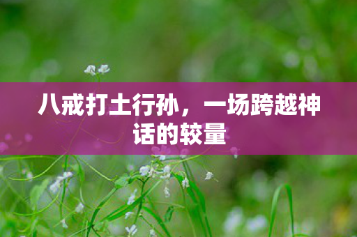 八戒打土行孙，一场跨越神话的较量