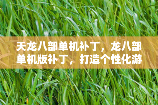 天龙八部单机补丁，龙八部单机版补丁，打造个性化游戏体验的必备神器