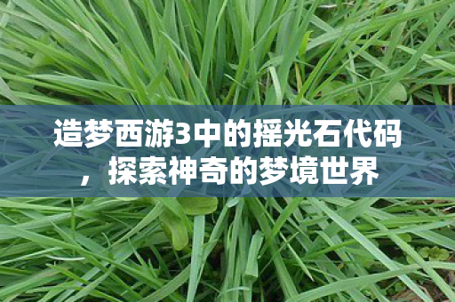 造梦西游3中的摇光石代码，探索神奇的梦境世界