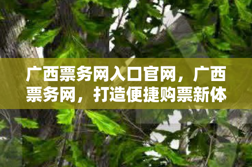 广西票务网入口官网，广西票务网，打造便捷购票新体验