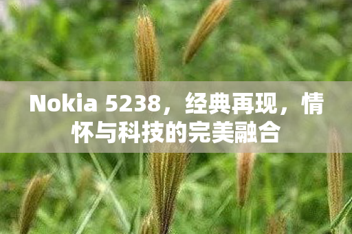 Nokia 5238，经典再现，情怀与科技的完美融合