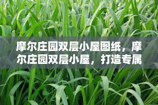 摩尔庄园双层小屋图纸，摩尔庄园双层小屋，打造专属梦幻家园