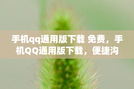 手机qq通用版下载 免费，手机QQ通用版下载，便捷沟通，尽享高效社交