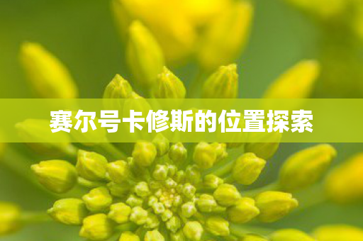 赛尔号卡修斯的位置探索 赛尔号卡修斯的位置探索