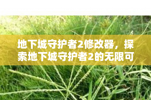 地下城守护者2修改器，探索地下城守护者2的无限可能，官方修改版的魅力与玩法