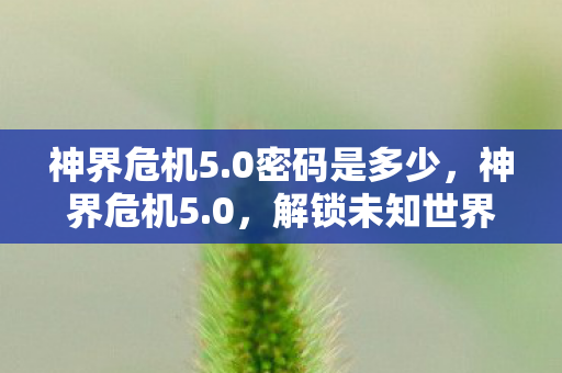 神界危机5.0密码是多少，神界危机5.0，解锁未知世界的神秘密码