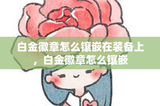 白金徽章怎么镶嵌在装备上，白金徽章怎么镶嵌