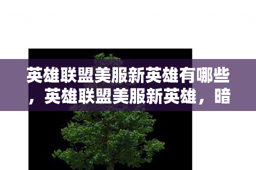 英雄联盟美服新英雄有哪些，英雄联盟美服新英雄，暗影易的崛起
