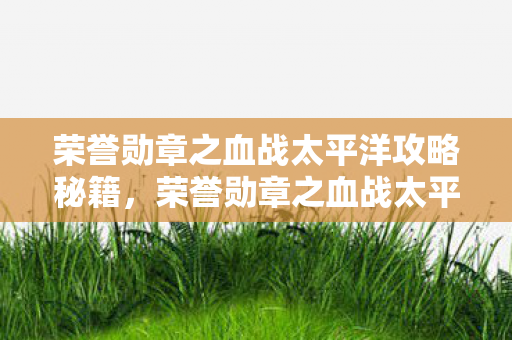 荣誉勋章之血战太平洋攻略秘籍，荣誉勋章之血战太平洋攻略