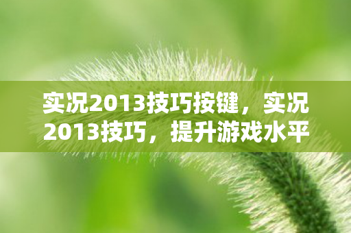 实况2013技巧按键，实况2013技巧，提升游戏水平的关键策略