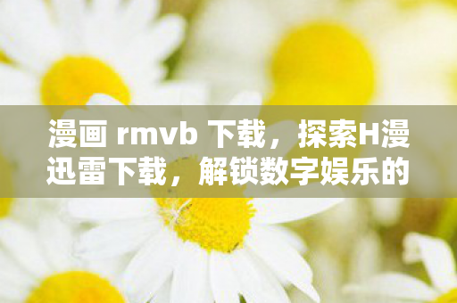 漫画 rmvb 下载，探索H漫迅雷下载，解锁数字娱乐的新方式
