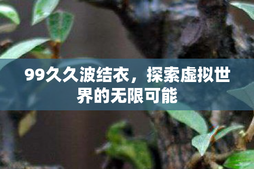 99久久波结衣，探索虚拟世界的无限可能