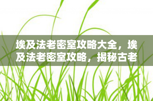 埃及法老密室攻略大全，埃及法老密室攻略，揭秘古老宝藏的探险之旅