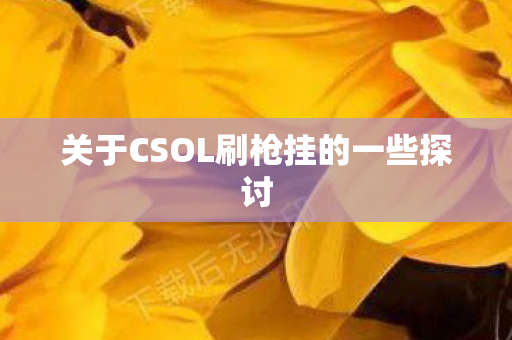 关于CSOL刷枪挂的一些探讨