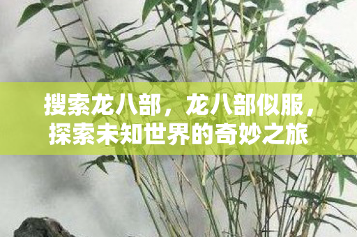 搜索龙八部，龙八部似服，探索未知世界的奇妙之旅